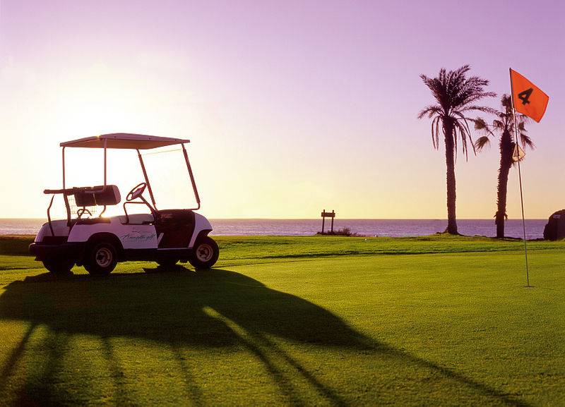 800px-Amarilla_Golf_2