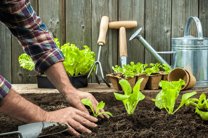 The Top Seven Different Reasons Why Men Should Garden