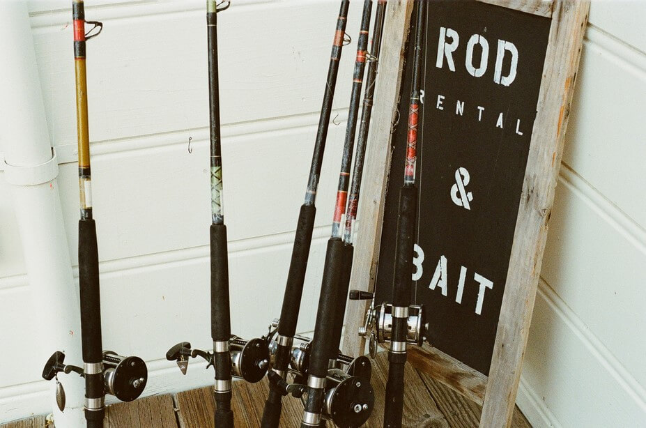 Is Fishing The Next Big Pastime For You?
